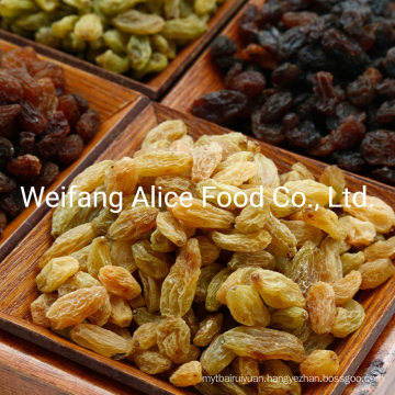 Good Price Natural Drying Good Price Yellow Raisin Golden Raisin